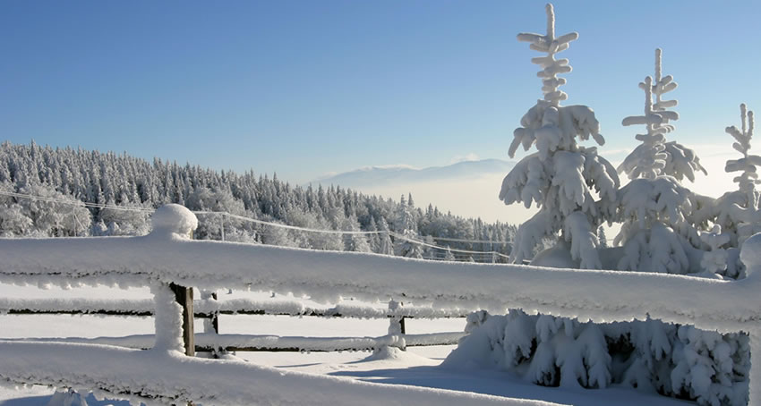 Tiefverschneite Landschaften im Pichl bei Schladming